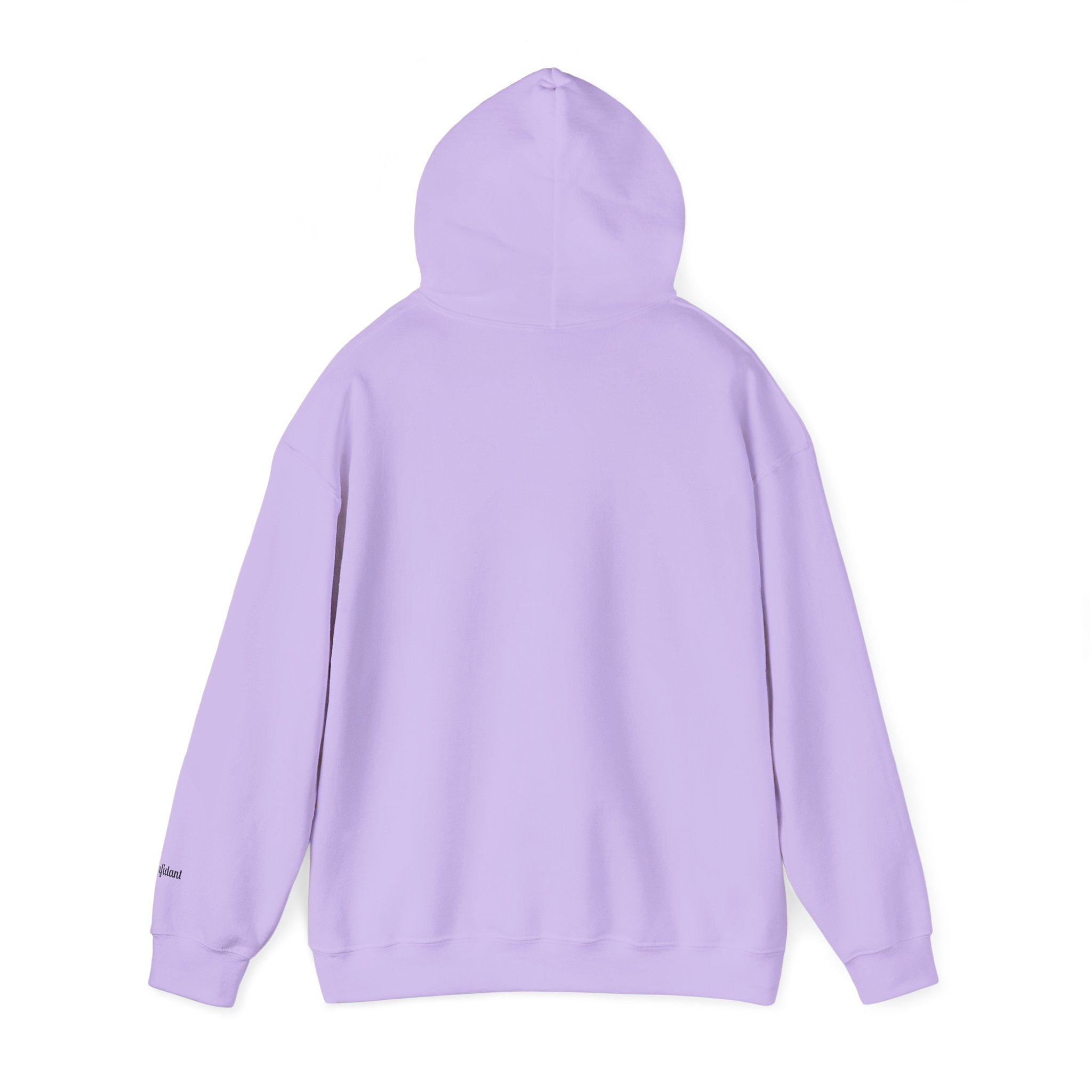 Donut Stop Believing Hoodie Sweatshirt