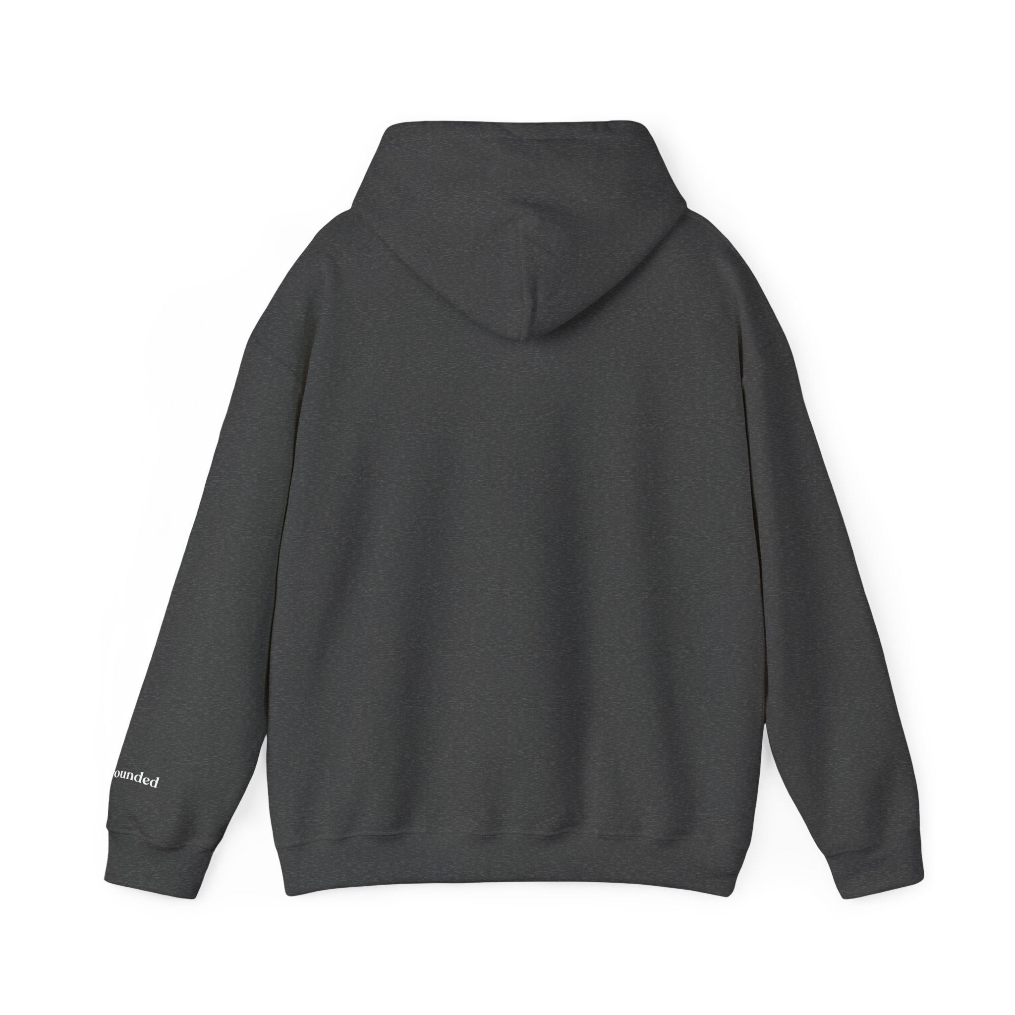 Grounded Hoodie Sweatshirt
